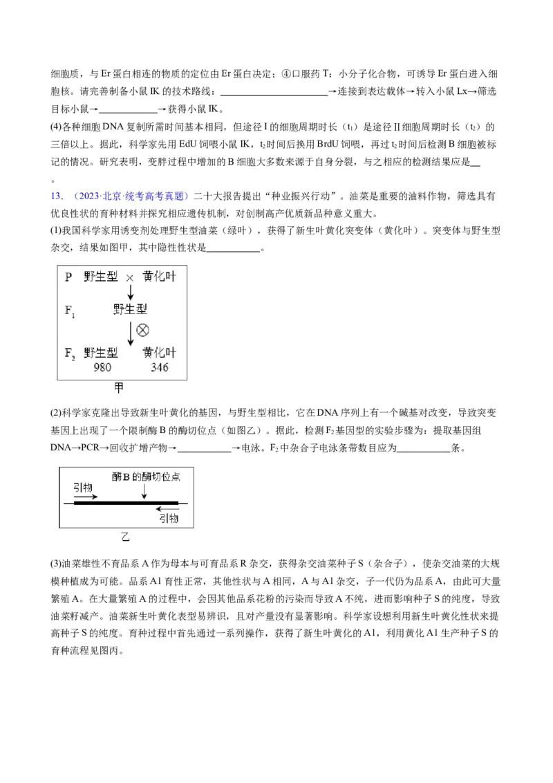 《专题21基因工程-学易金卷：五年（2019-2023）高考生物真题分项汇编（全国通用）（原卷版）_初高中资料库_高中资料库（转存避免链接过期失效）_高中生物》第7页预览