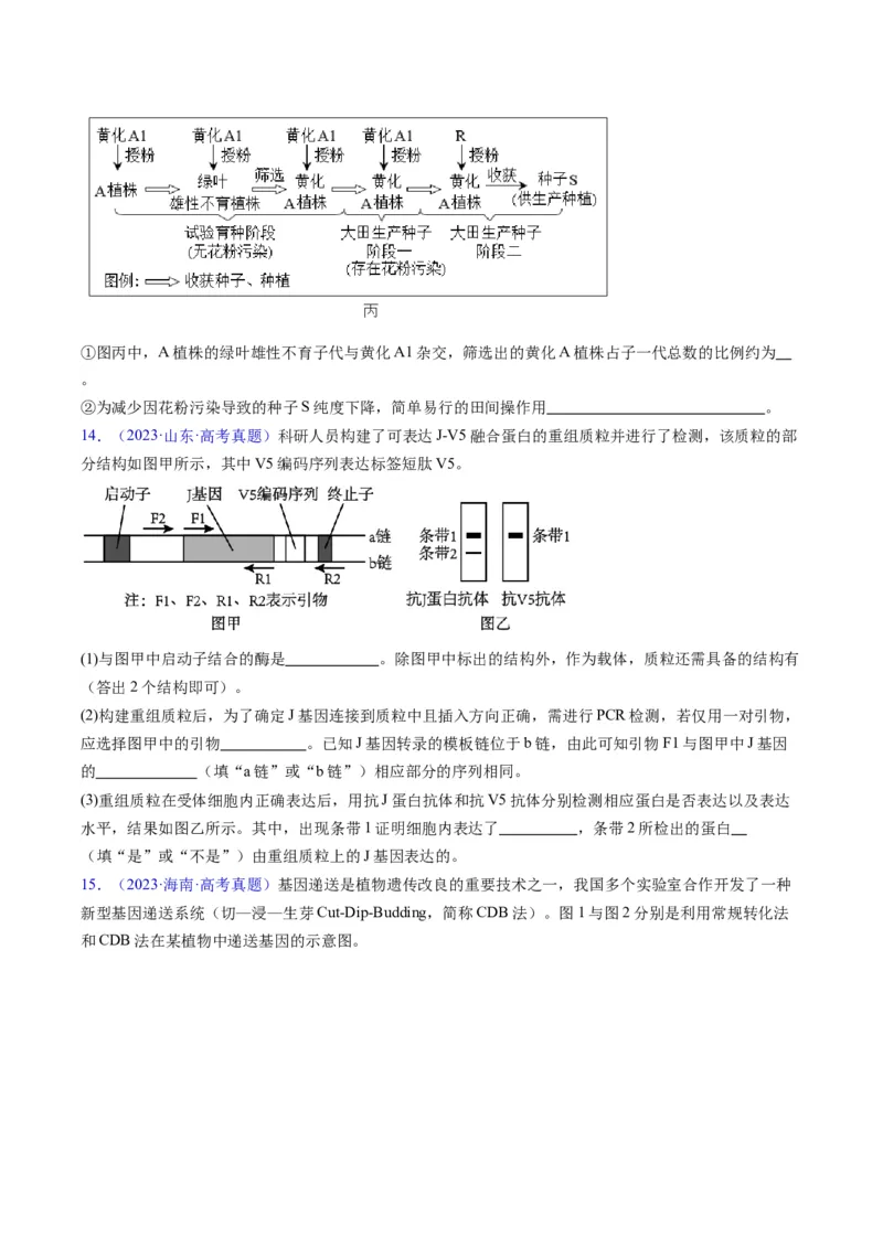 《专题21基因工程-学易金卷：五年（2019-2023）高考生物真题分项汇编（全国通用）（原卷版）_初高中资料库_高中资料库（转存避免链接过期失效）_高中生物》第8页预览