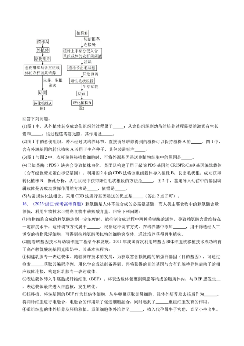 《专题21基因工程-学易金卷：五年（2019-2023）高考生物真题分项汇编（全国通用）（原卷版）_初高中资料库_高中资料库（转存避免链接过期失效）_高中生物》第9页预览
