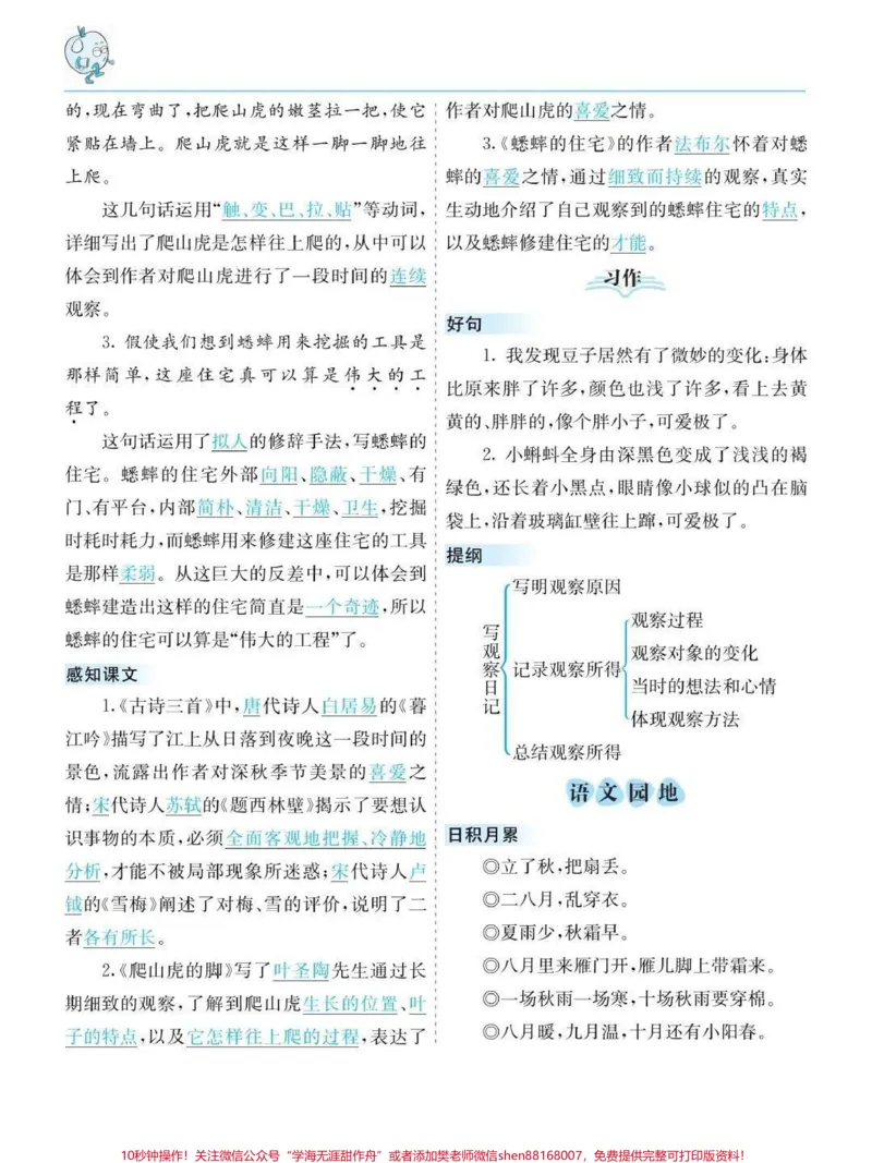《四年级上册语文知识点总结#小学语文#知识点总结_最新小学1-9年级各科+幼升小+综合类学习资源汇总包_价值20万元！最新小学1-9年级各科+幼升小+综合类学习资源汇总包》第6页预览