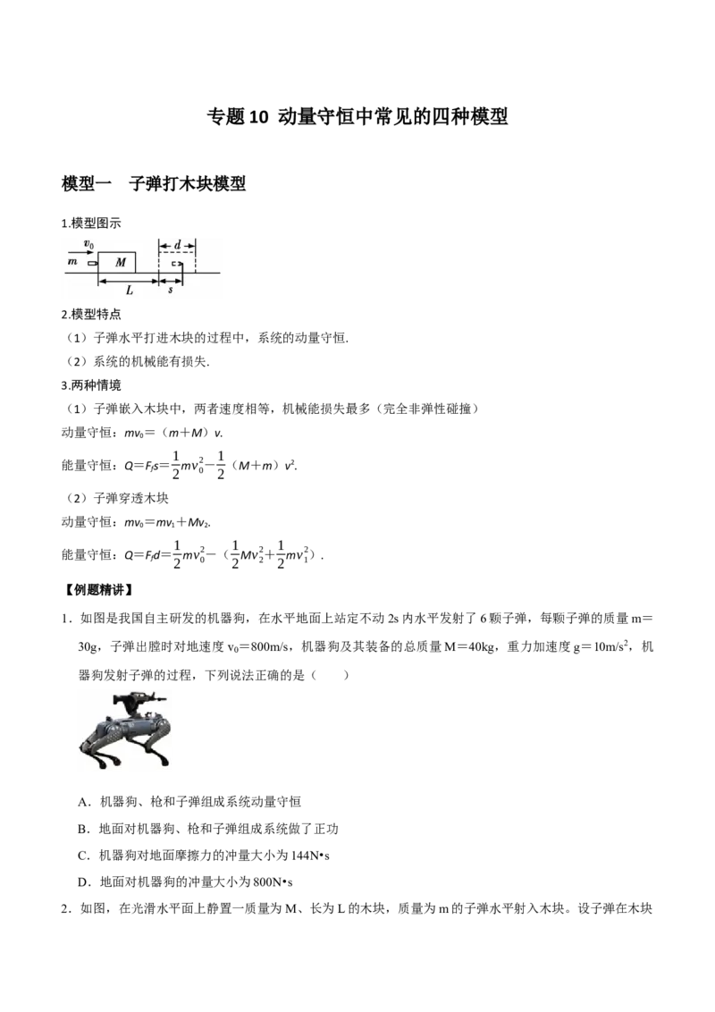 《专题10动量守恒中常见的四种模型（学生版）_高考一二三轮复习_物理_2026年-物理高考二轮复习_72026届高考物理二轮专题培优及课时精练》第1页预览