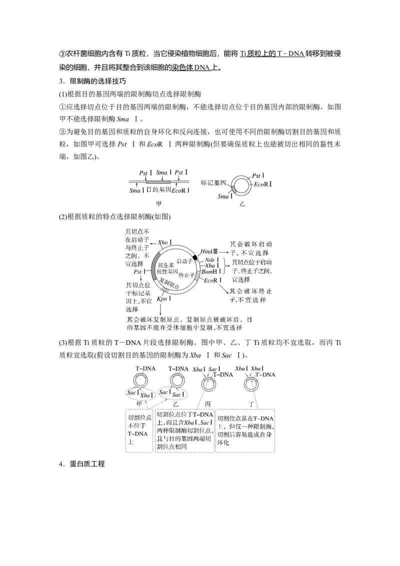 《第一部分　专题八　必备整合3　基因工程及其应用(1)_2026版高中《二三轮复习+冲刺复习》_教师用书Word版文档_第一部分　专题复习》第2页预览