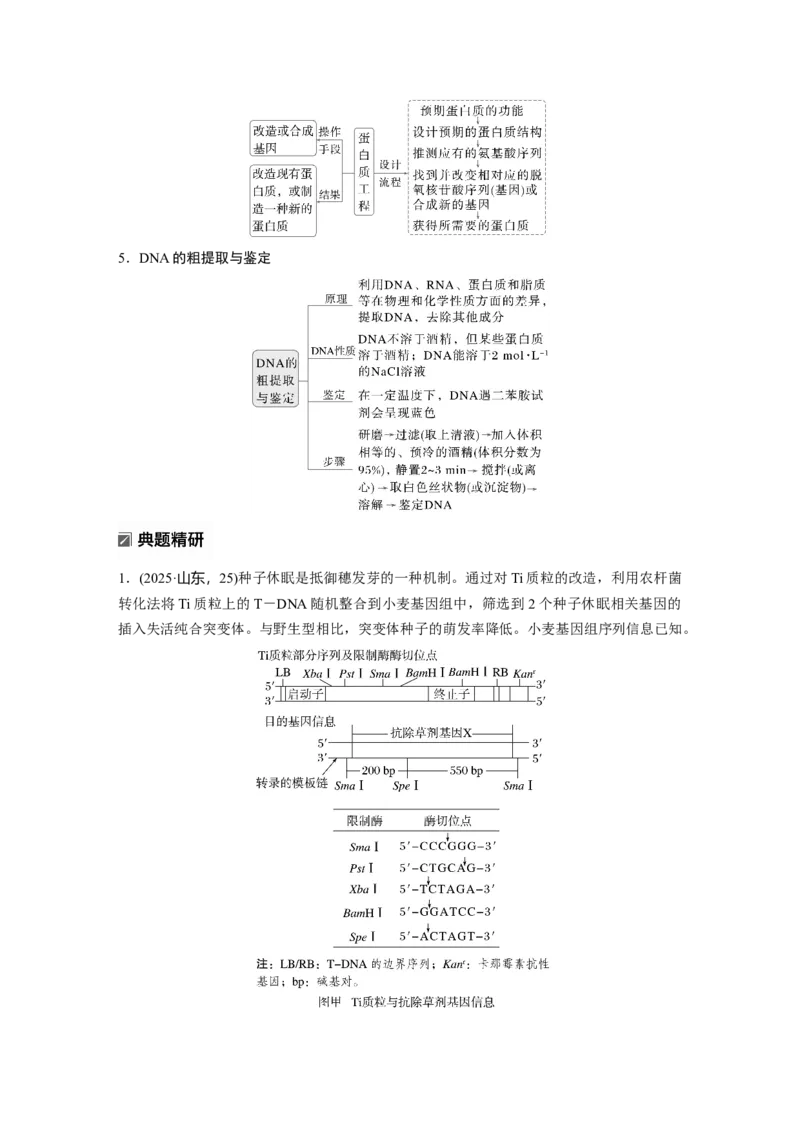 《第一部分　专题八　必备整合3　基因工程及其应用(1)_2026版高中《二三轮复习+冲刺复习》_教师用书Word版文档_第一部分　专题复习》第3页预览