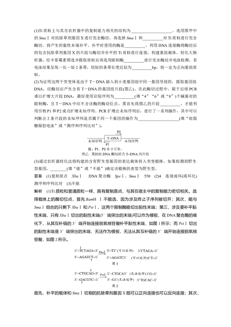《第一部分　专题八　必备整合3　基因工程及其应用(1)_2026版高中《二三轮复习+冲刺复习》_教师用书Word版文档_第一部分　专题复习》第4页预览