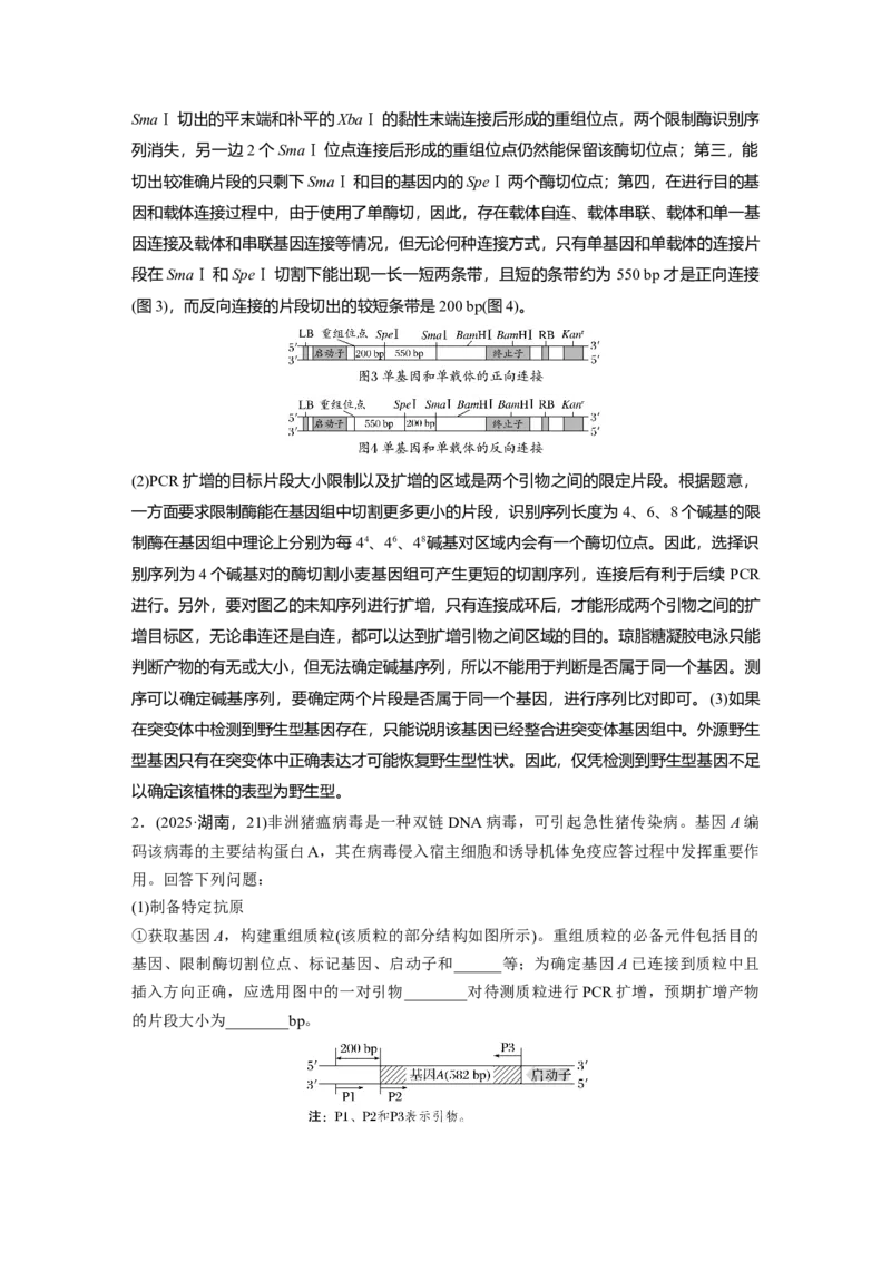 《第一部分　专题八　必备整合3　基因工程及其应用(1)_2026版高中《二三轮复习+冲刺复习》_教师用书Word版文档_第一部分　专题复习》第5页预览