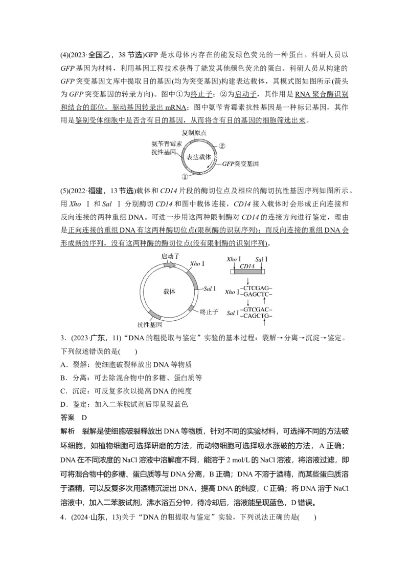 《第一部分　专题八　必备整合3　基因工程及其应用(1)_2026版高中《二三轮复习+冲刺复习》_教师用书Word版文档_第一部分　专题复习》第7页预览