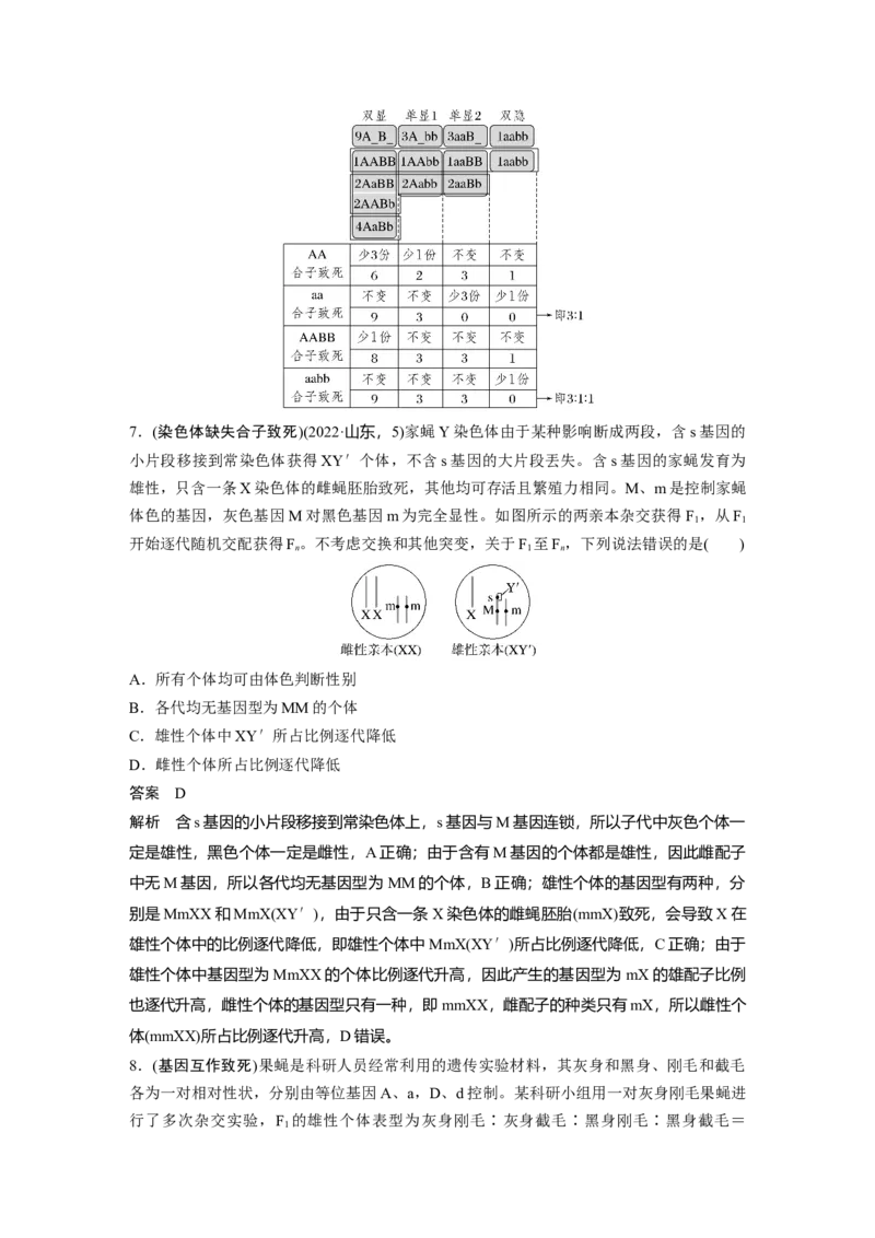 《第一部分　专题四　热点聚焦1　致死与平衡致死系(1)_2026版高中《二三轮复习+冲刺复习》_教师用书Word版文档_第一部分　专题复习》第5页预览