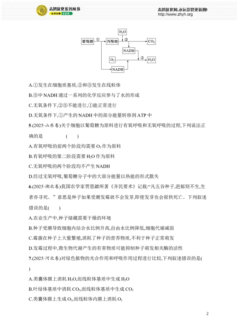 《限时练4　大单元二查缺补漏保分练_2026版高中《二三轮复习+冲刺复习》_高考总复习优化设计二轮用书生物课后习题Word_课后习题_大单元2　细胞的生存需要能量和营养物质》第2页预览