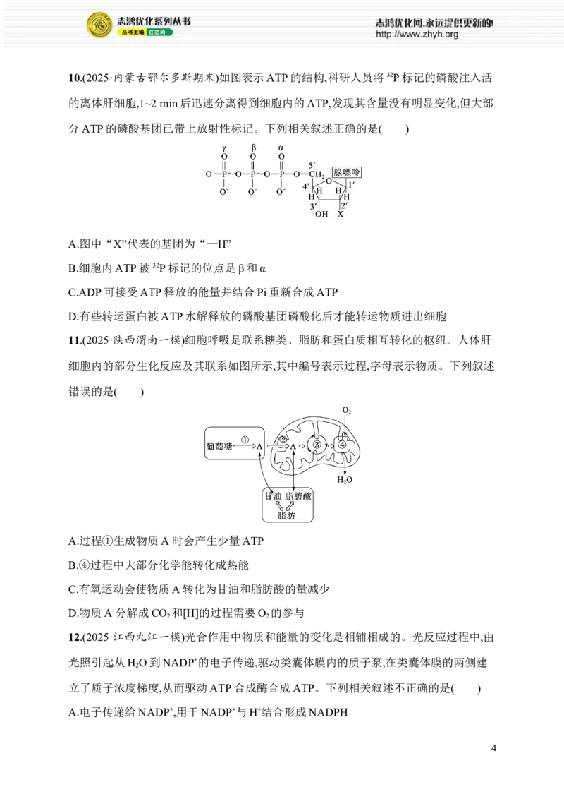《限时练4　大单元二查缺补漏保分练_2026版高中《二三轮复习+冲刺复习》_高考总复习优化设计二轮用书生物课后习题Word_课后习题_大单元2　细胞的生存需要能量和营养物质》第4页预览