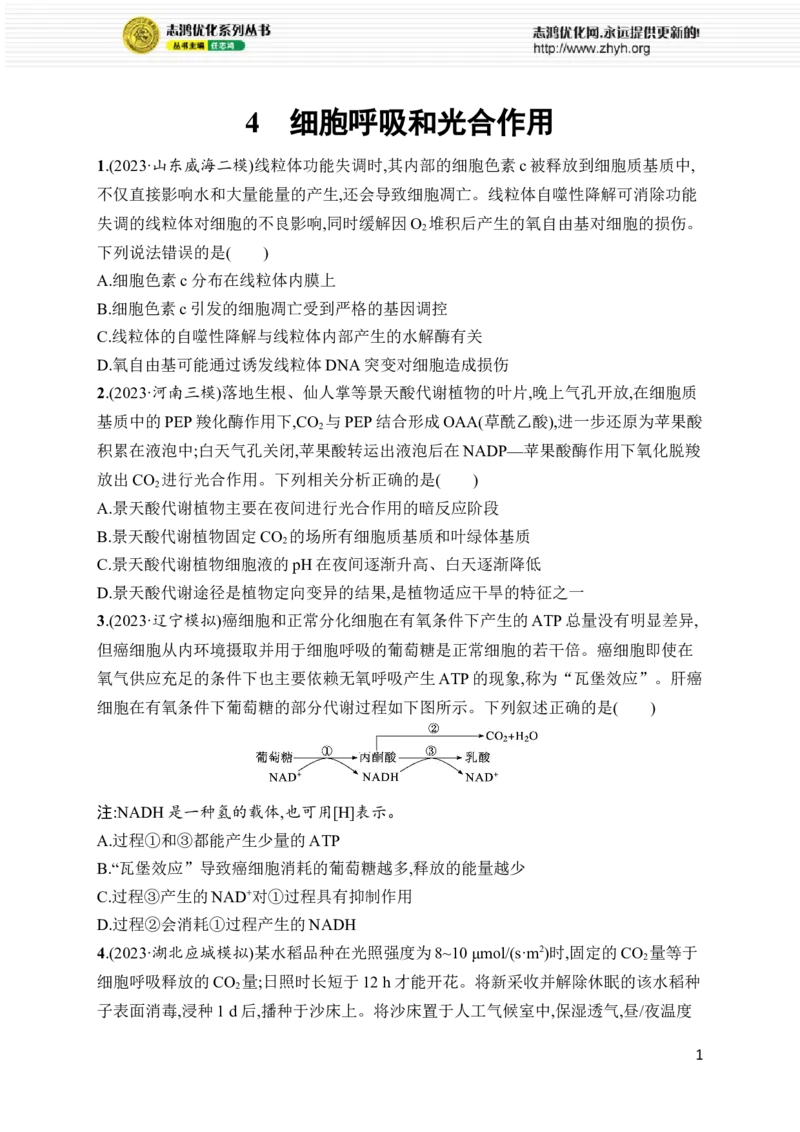 《4.细胞呼吸和光合作用_初高中资料库_高中资料库（转存避免链接过期失效）_高中生物》第1页预览