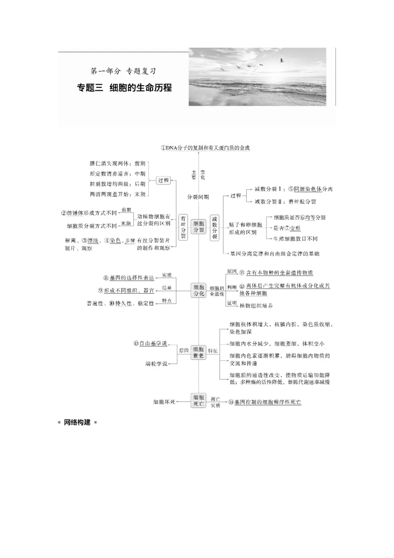 《第一部分 专题三 必备整合 细胞的增殖、分化、衰老和死亡(1)_2026版高中《二三轮复习+冲刺复习》_教师用书Word版文档_第一部分 专题复习》第1页预览