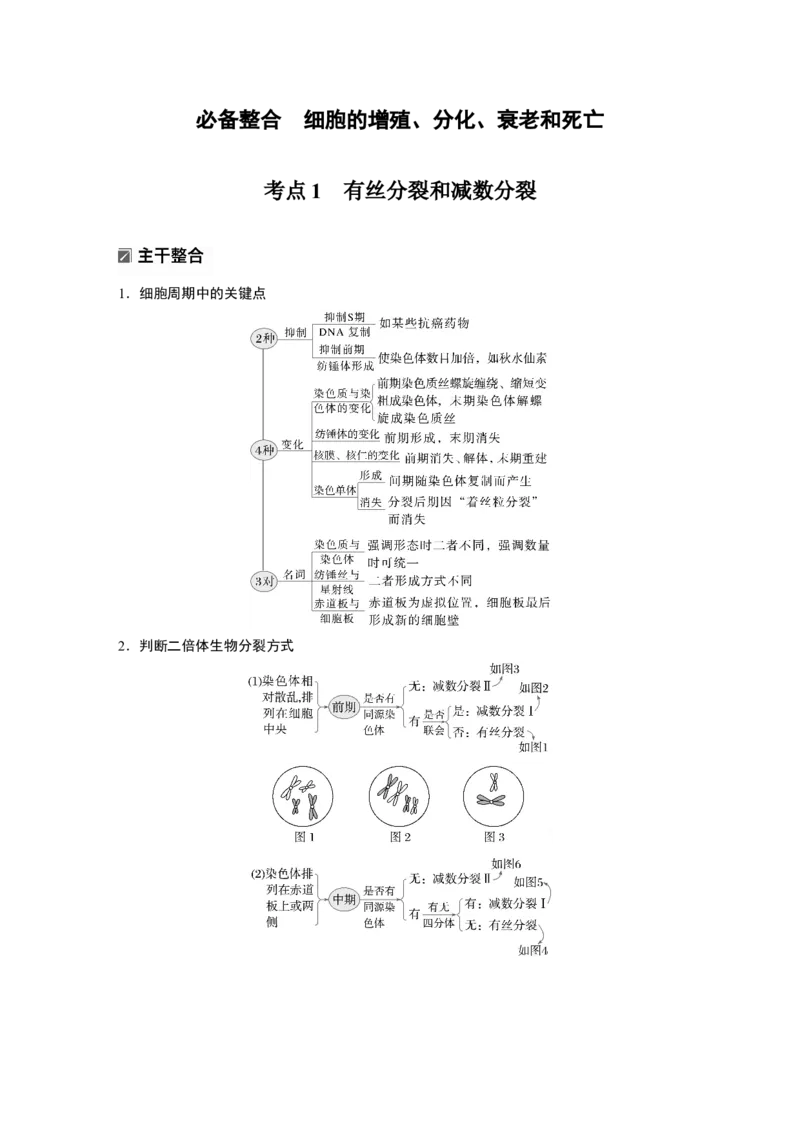 《第一部分 专题三 必备整合 细胞的增殖、分化、衰老和死亡(1)_2026版高中《二三轮复习+冲刺复习》_教师用书Word版文档_第一部分 专题复习》第2页预览
