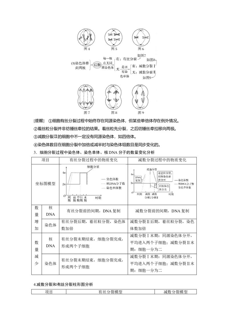 《第一部分 专题三 必备整合 细胞的增殖、分化、衰老和死亡(1)_2026版高中《二三轮复习+冲刺复习》_教师用书Word版文档_第一部分 专题复习》第3页预览