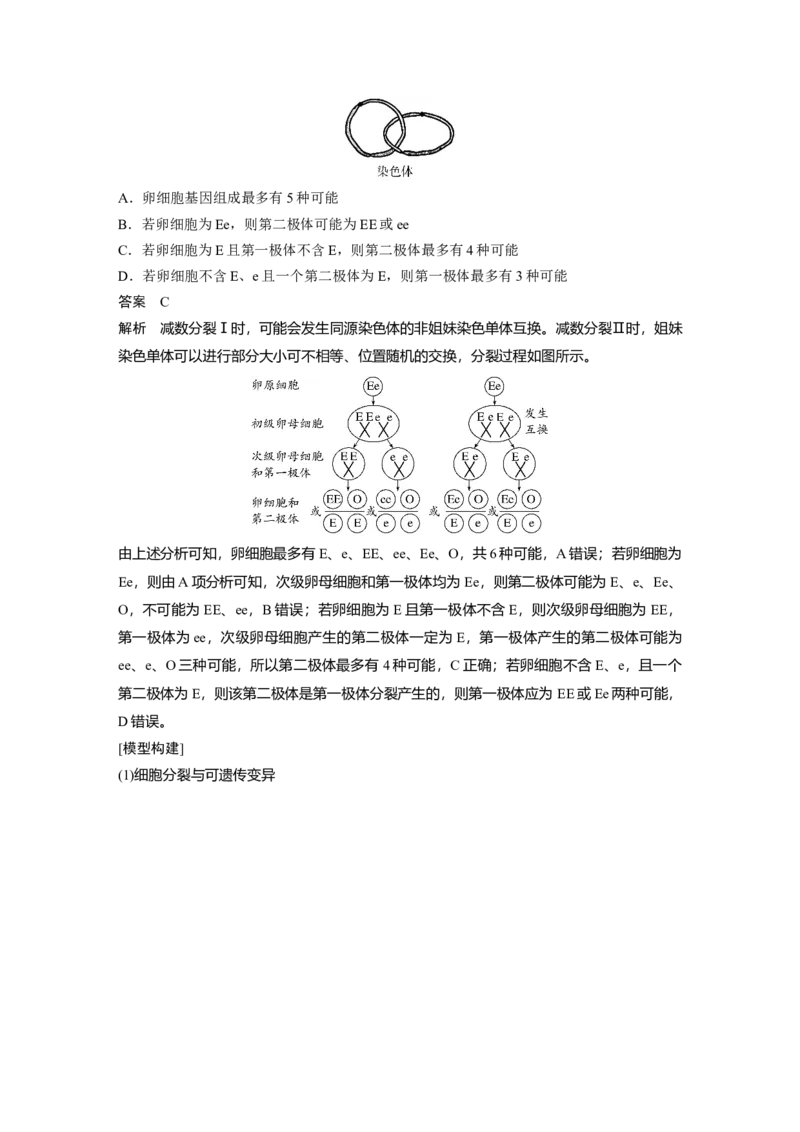 《第一部分 专题三 必备整合 细胞的增殖、分化、衰老和死亡(1)_2026版高中《二三轮复习+冲刺复习》_教师用书Word版文档_第一部分 专题复习》第7页预览