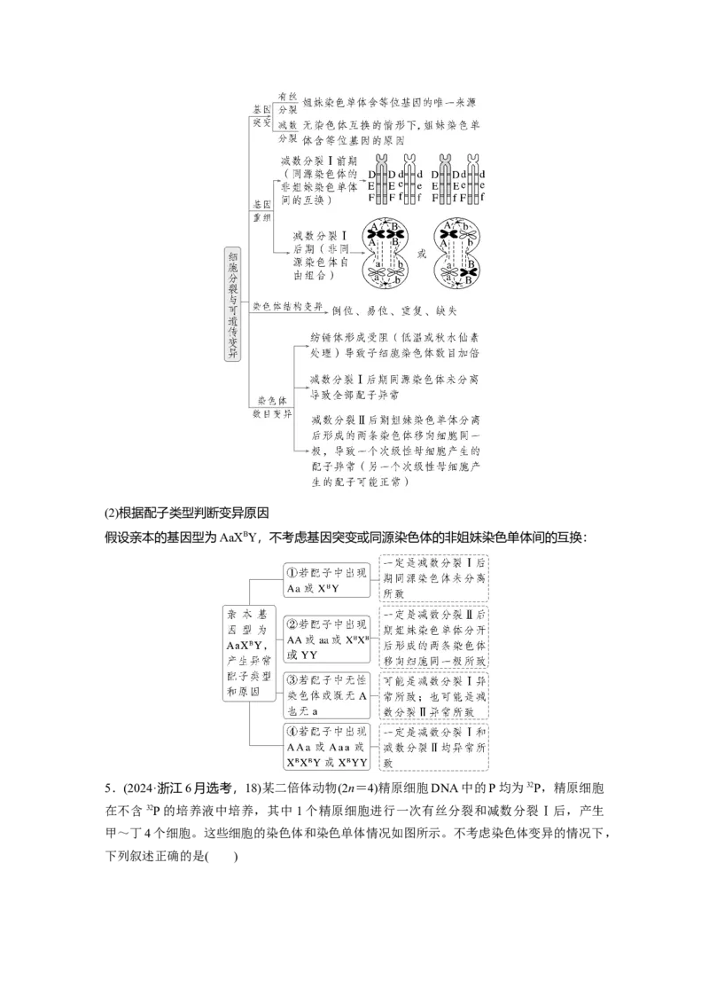 《第一部分 专题三 必备整合 细胞的增殖、分化、衰老和死亡(1)_2026版高中《二三轮复习+冲刺复习》_教师用书Word版文档_第一部分 专题复习》第8页预览