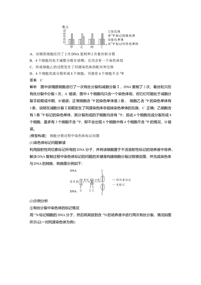 《第一部分 专题三 必备整合 细胞的增殖、分化、衰老和死亡(1)_2026版高中《二三轮复习+冲刺复习》_教师用书Word版文档_第一部分 专题复习》第9页预览