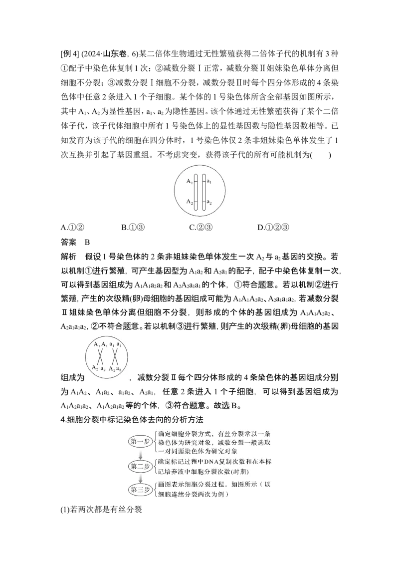 《课时2细胞周期同步化、细胞分裂过程中的遗传变异、细胞衰老的学说_2026版高中《二三轮复习+冲刺复习》_另附1套Word版题库_第一篇 大概念专题突破》第10页预览
