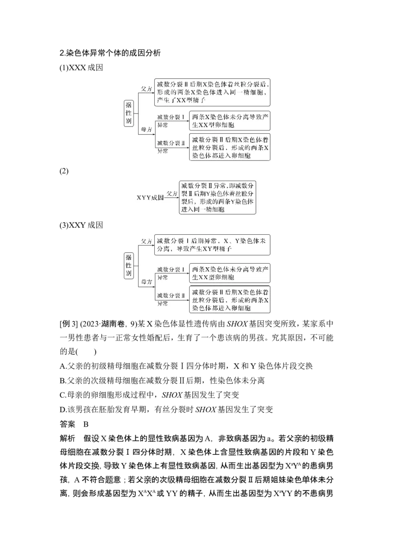 《课时2细胞周期同步化、细胞分裂过程中的遗传变异、细胞衰老的学说_2026版高中《二三轮复习+冲刺复习》_另附1套Word版题库_第一篇 大概念专题突破》第8页预览