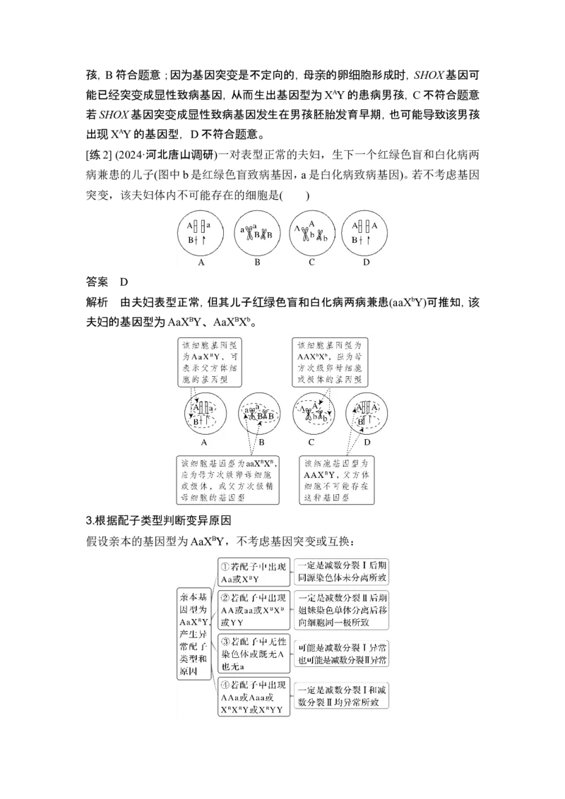 《课时2细胞周期同步化、细胞分裂过程中的遗传变异、细胞衰老的学说_2026版高中《二三轮复习+冲刺复习》_另附1套Word版题库_第一篇 大概念专题突破》第9页预览