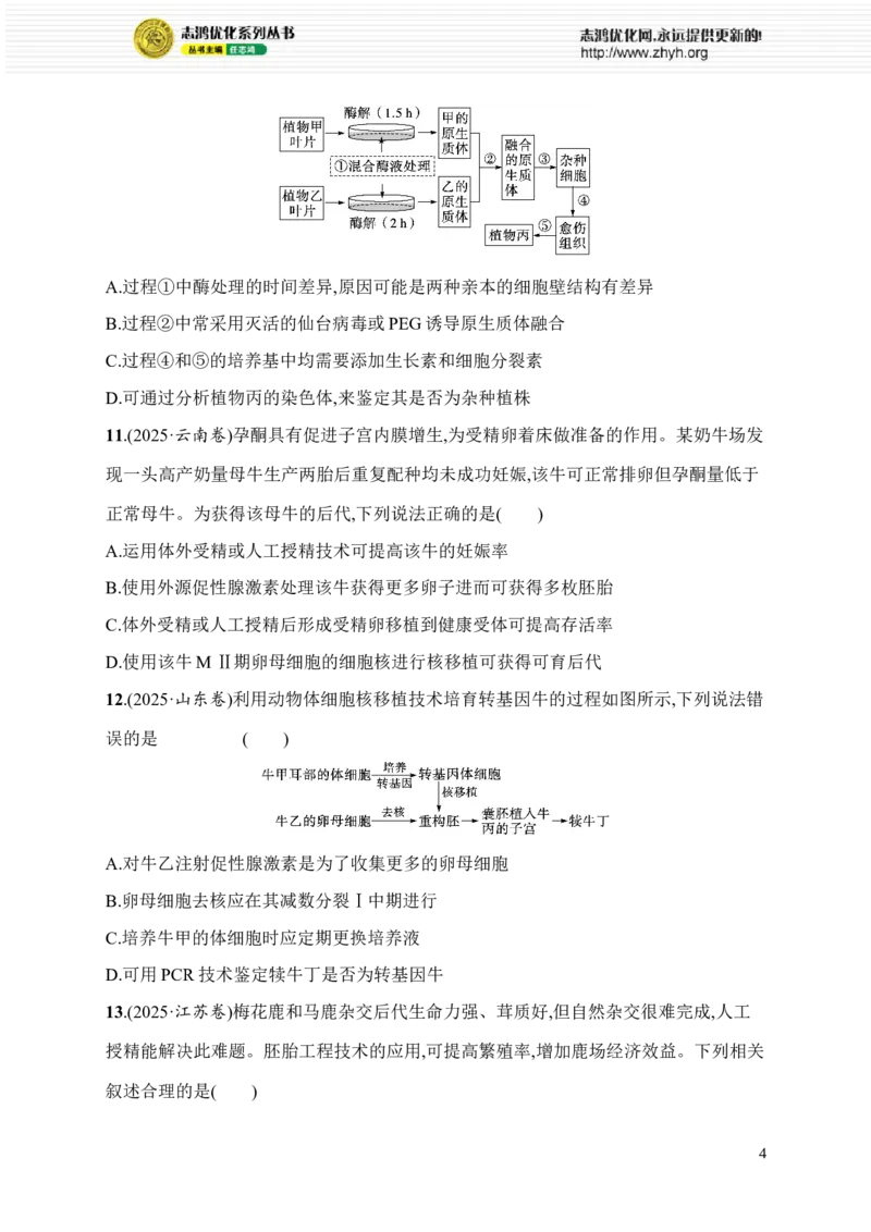 《限时练24　大单元八查缺补漏保分练_2026版高中《二三轮复习+冲刺复习》_高考总复习优化设计二轮用书生物课后习题Word_课后习题_大单元8　生物技术与工程》第4页预览