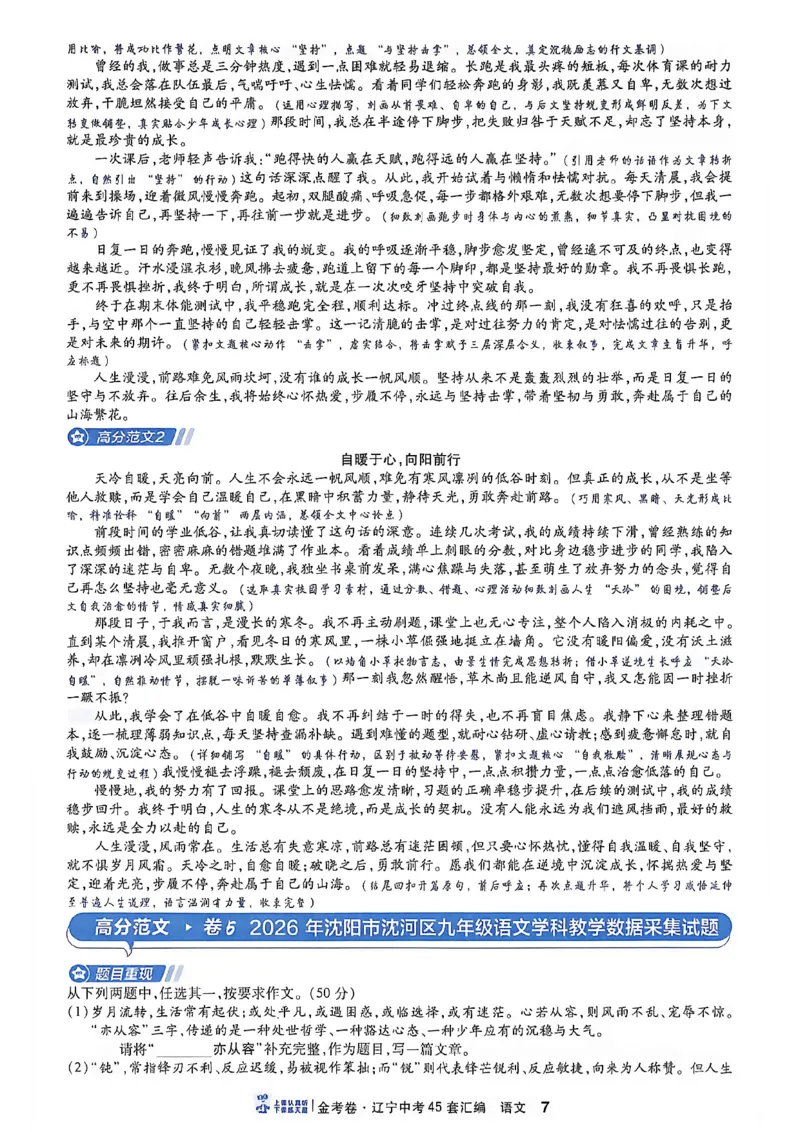 《语文高分范文A4_2026秋初中教辅合集_2027天星系列_2027《天星金考卷•中考45套》语文（辽宁）》第9页预览
