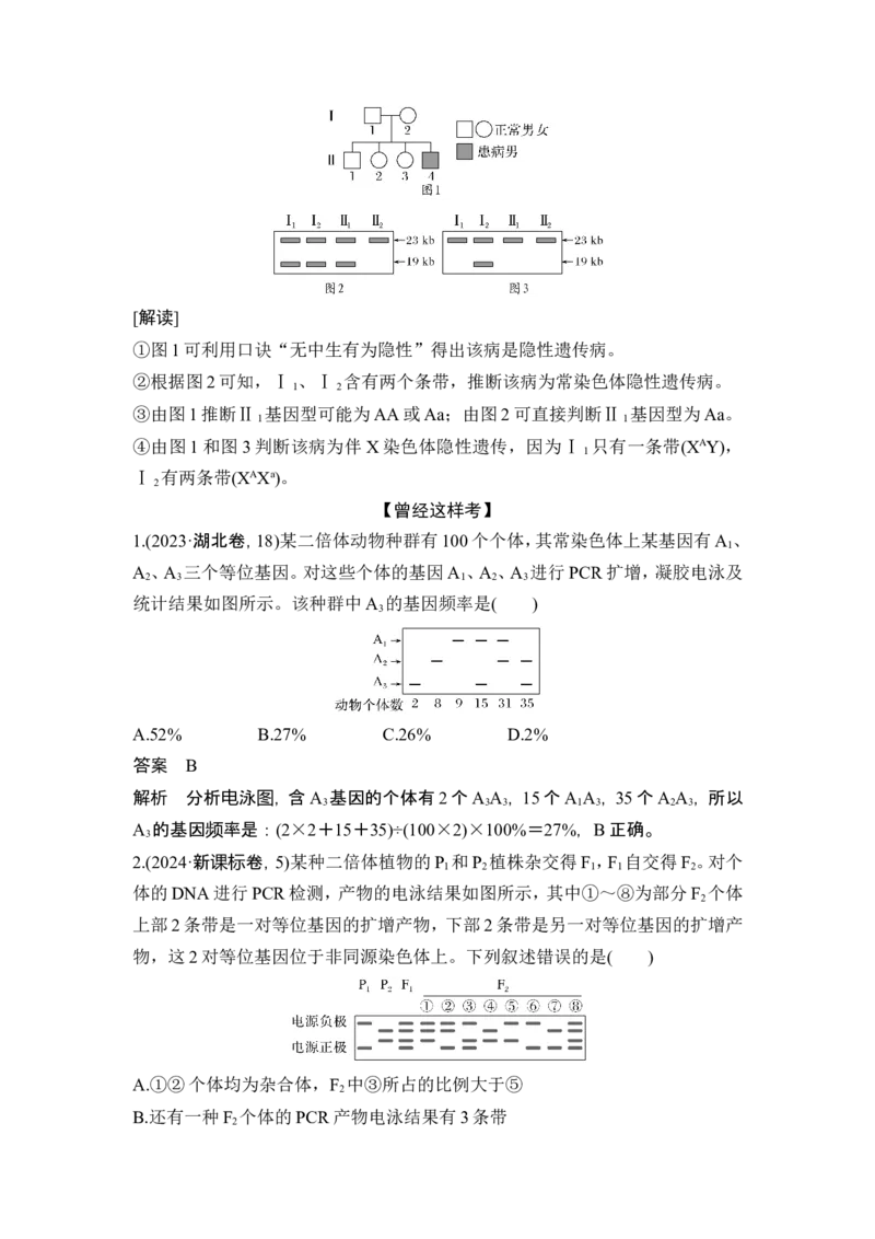 《课时2电泳图谱、“剂量补偿效应”_2026版高中《二三轮复习+冲刺复习》_另附1套Word版题库_第一篇　大概念专题突破_大概念四基因的分离和重组产生多种多样的基因组合》第2页预览
