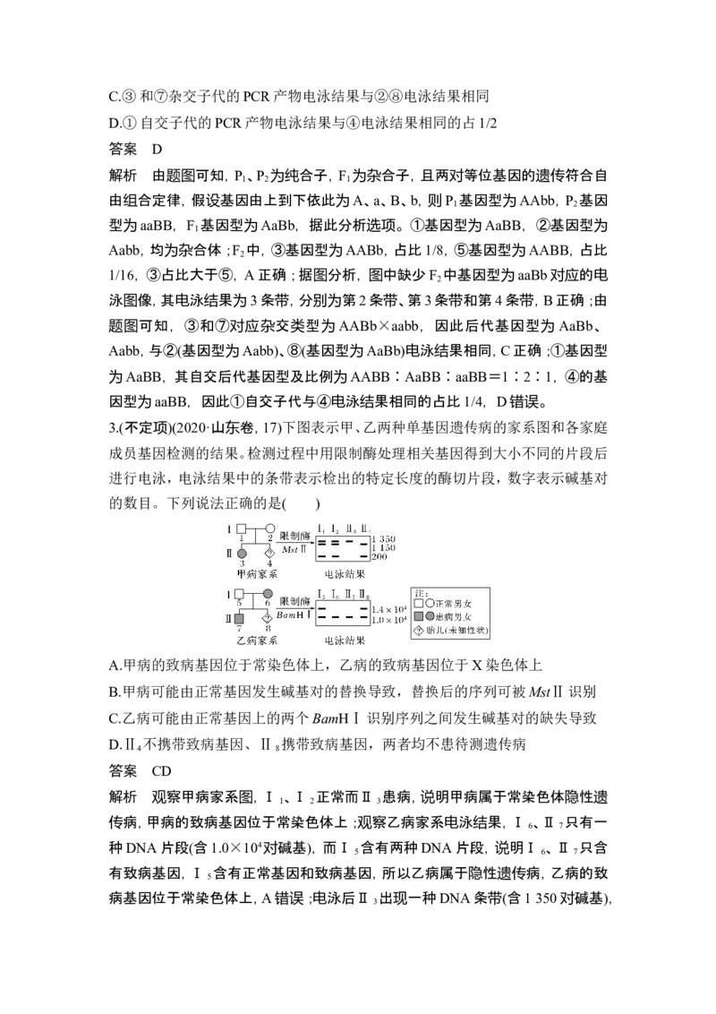 《课时2电泳图谱、“剂量补偿效应”_2026版高中《二三轮复习+冲刺复习》_另附1套Word版题库_第一篇　大概念专题突破_大概念四基因的分离和重组产生多种多样的基因组合》第3页预览