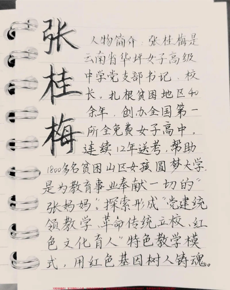 《每天一个高分作文人物素材——张桂梅#作文#作文素材#素材分享#图文伙伴计划#qunju888.com图文来了_最新小学1-9年级各科+幼升小+综合类学习资源汇总包》第1页预览