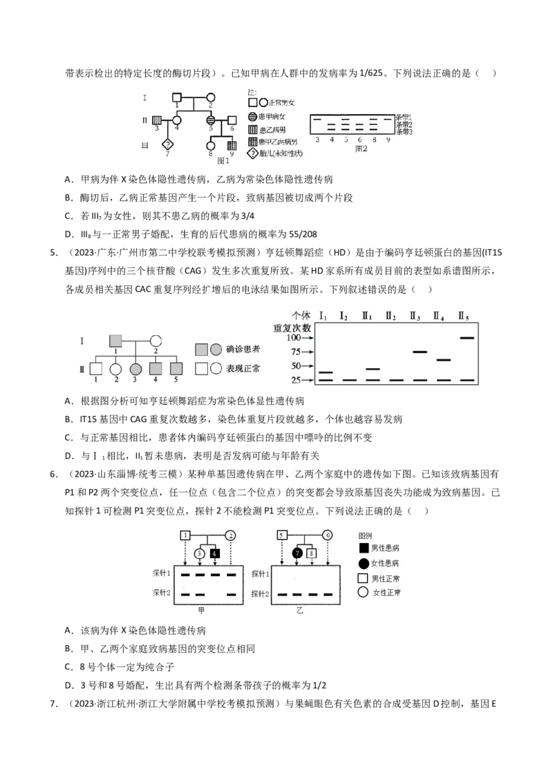 《专题08伴性遗传和人类遗传病（学生版）_初高中资料库_高中资料库（转存避免链接过期失效）_高中生物》第7页预览