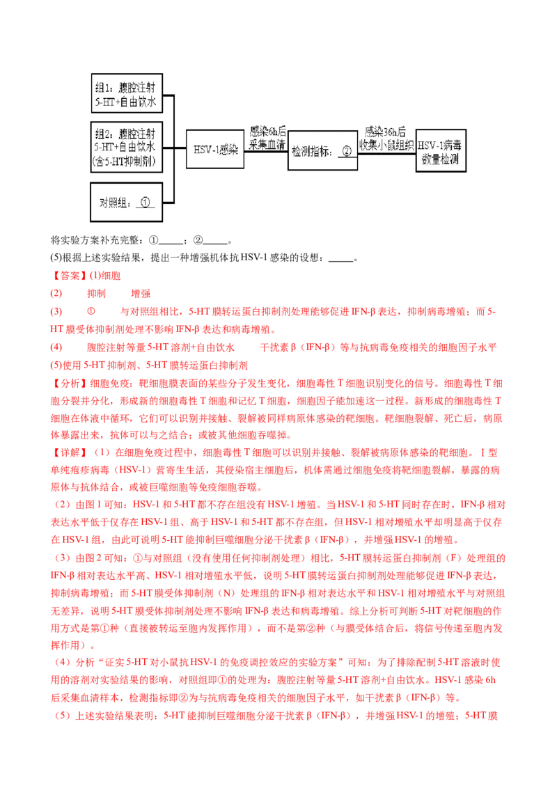 《专题三补充完善型实验——步骤补全与方案闭环刷题（教师版）_高考一二三轮复习_生物_2026年-生物高考专项复习_32026年高考生物实验题专项突破训练》第9页预览