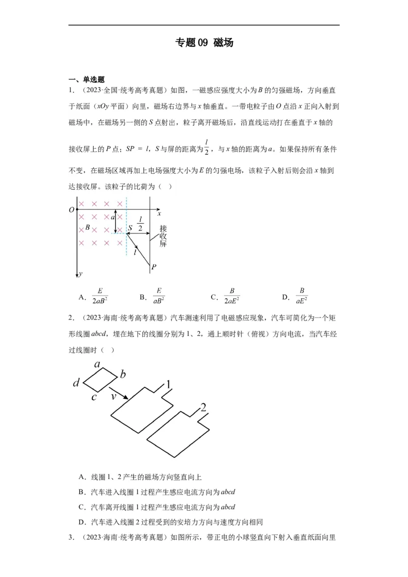 《专题09磁场(原卷版)_初高中资料库_高中资料库（转存避免链接过期失效）_高中物理》第1页预览