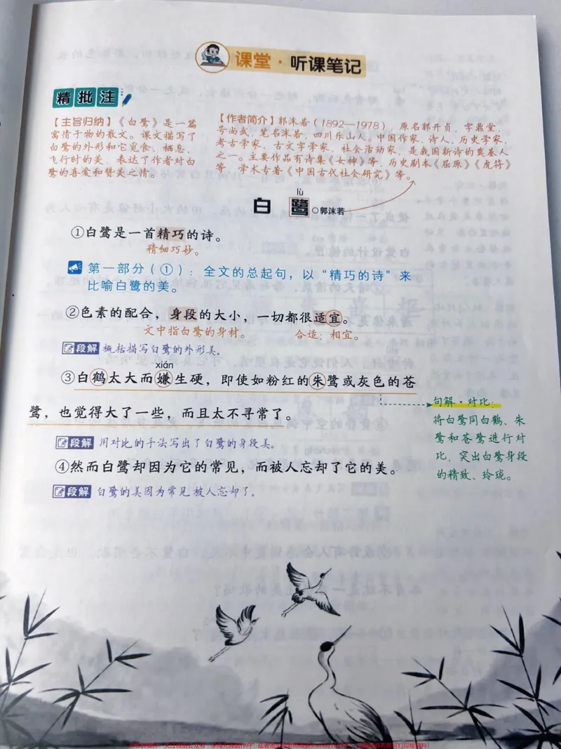 《语文预习复习好帮手,课文详解重难点,考点总结都有,带视频讲解,孩子跟着它一步一个脚印,语文进步看得见#小学语文#好书分享#教辅推荐_综合类一线老师整理版资源(全网独家)》第4页预览