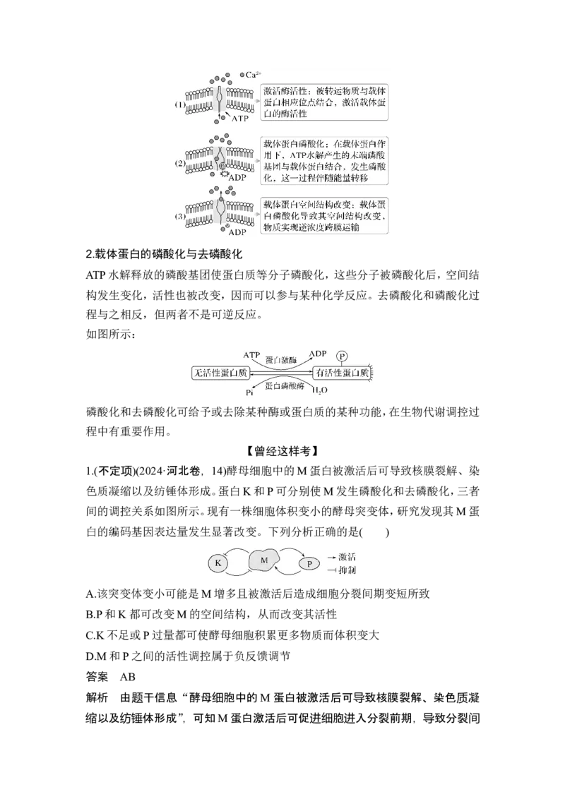 《课时2细胞代谢中的热点聚焦(1)_2026版高中《二三轮复习+冲刺复习》_高考生物生物二轮2026届高考生物步步高大二轮专题复习教师用书(word版)+教师用书配套PPT+题库(word版)(完整版)》第2页预览