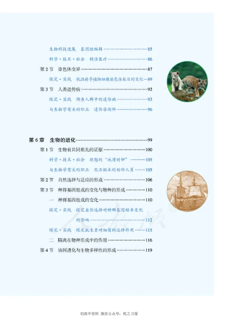 《2新人教版高中生物必修2《遗传与进化》_初高中资料库_高中资料库（转存避免链接过期失效）_高中生物》第5页预览