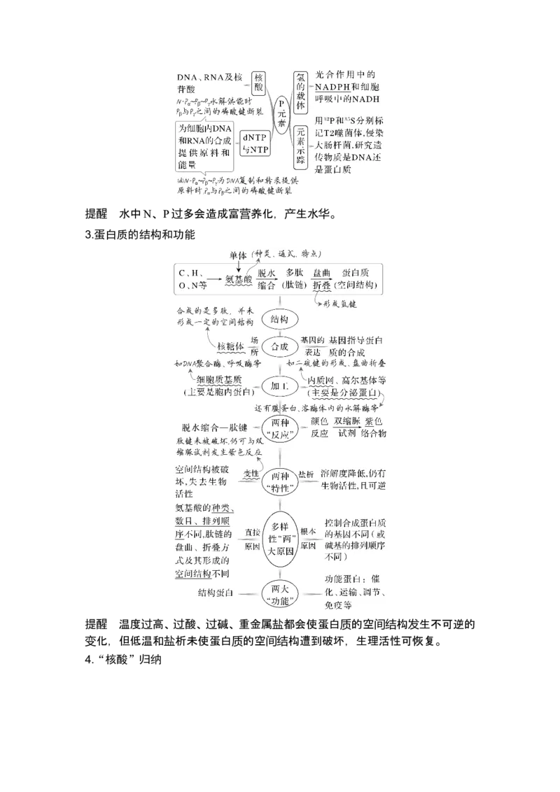《课时1细胞的物质组成、结构和物质运输(1)_2026版高中《二三轮复习+冲刺复习》_另附1套Word版题库_第一篇　大概念专题突破_大概念一细胞是生物体结构与生命活动的基本单位》第3页预览