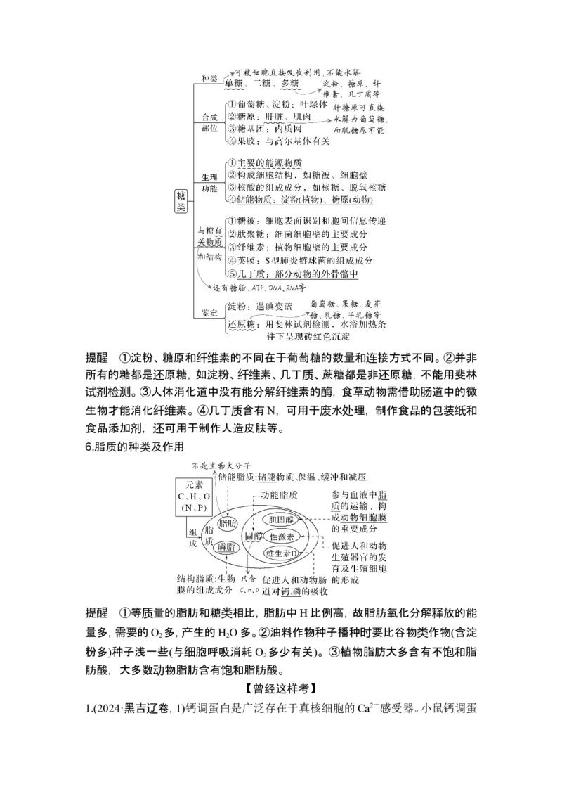 《课时1细胞的物质组成、结构和物质运输(1)_2026版高中《二三轮复习+冲刺复习》_另附1套Word版题库_第一篇　大概念专题突破_大概念一细胞是生物体结构与生命活动的基本单位》第5页预览