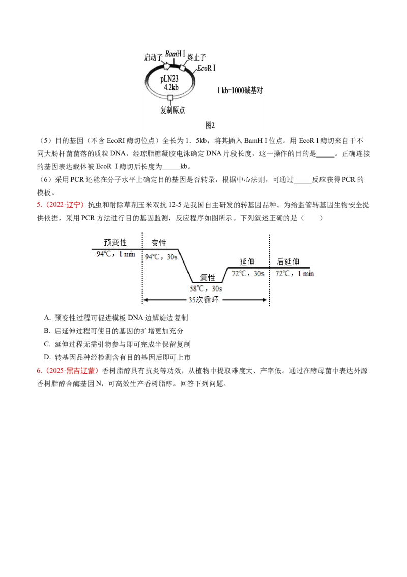 《专题09生物技术与工程（学生版）_高考一二三轮复习_生物_2026年-生物高考专项复习_五年（2021-2025）高考生物真题分类汇编（黑吉辽蒙专用）-G341》第7页预览