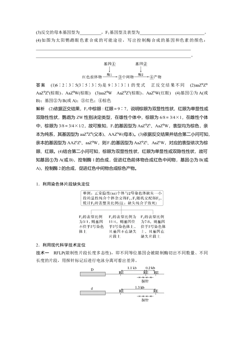 《第一部分　专题四　热点聚焦2　基因定位类问题分析(1)_2026版高中《二三轮复习+冲刺复习》_教师用书Word版文档_第一部分　专题复习》第3页预览