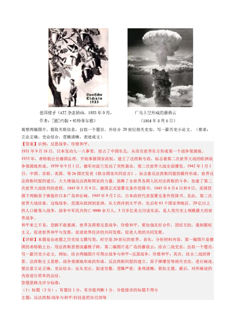 《专题13两次世界大战与国际秩序的演变（解析版）_初高中资料库_高中资料库（转存避免链接过期失效）_高中历史》第2页预览