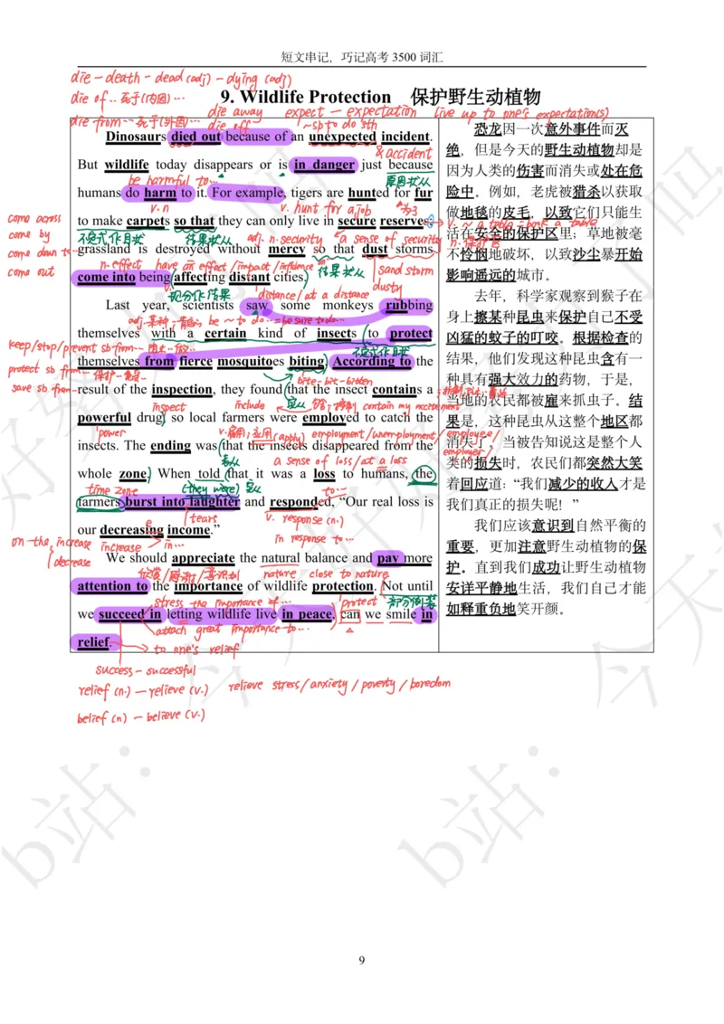 《40篇文章巧记高考3500词汇（笔记版）_初高中资料库_高中资料库（转存避免链接过期失效）_高中英语》第9页预览