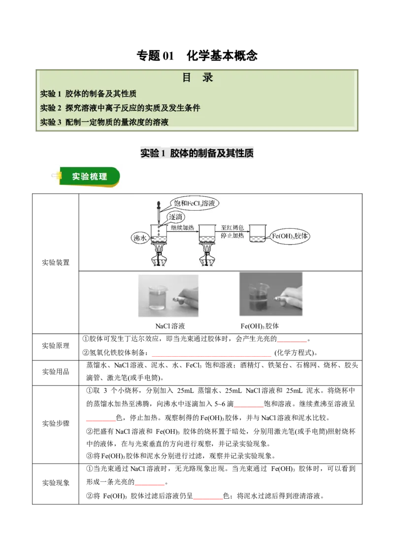 《专题01化学基本概念（学生版）_高考一二三轮复习_化学_2026年高考化学一轮_2026年高考化学一轮复习讲义+练习+课件（新教材新高考）-G55_2026版_第十章化学实验基础与探究》第1页预览