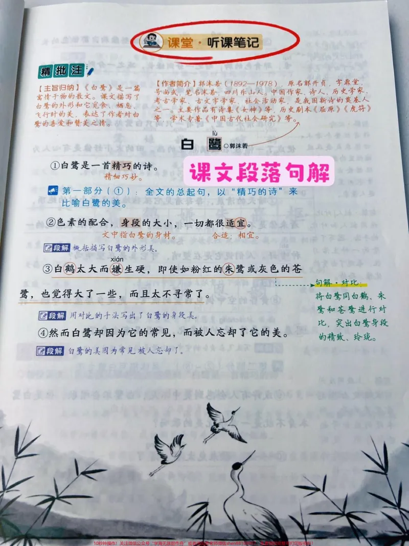 《给孩子准备这个黄冈随堂笔记。和课本同步，课本原文~丰富笔记~课前预习单#小学语文#教辅推荐#课堂笔记_最新小学1-9年级各科+幼升小+综合类学习资源汇总包》第3页预览