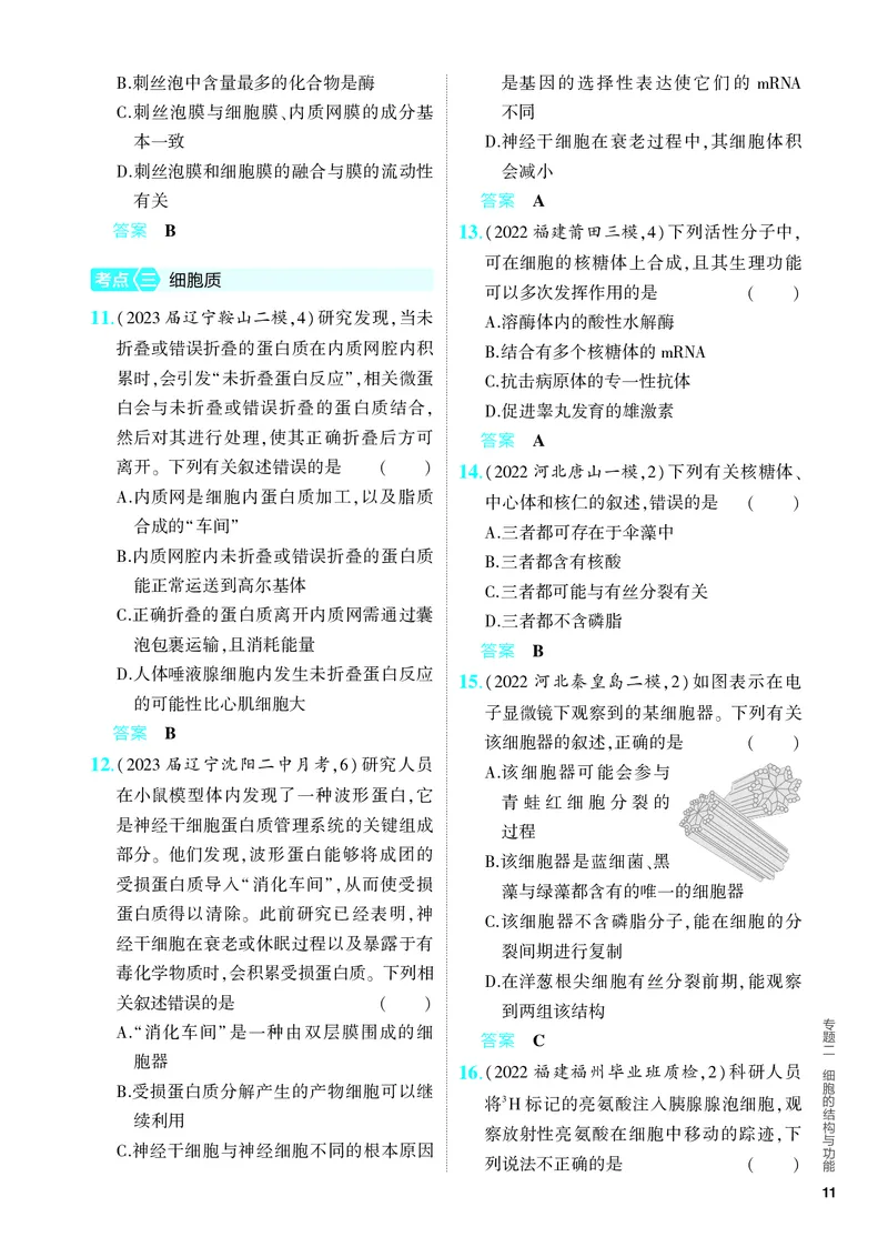 《2_02-专题二　细胞的结构与功能（教参电子书—分层集训）_2024版教学资源包_2024版.新高考版生物.5·3A版_2_专题二细胞的结构与功能_4_PDF教参电子书》第3页预览