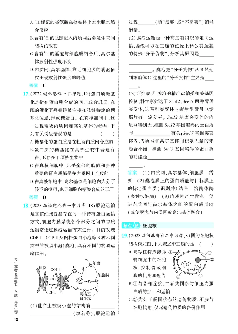 《2_02-专题二　细胞的结构与功能（教参电子书—分层集训）_2024版教学资源包_2024版.新高考版生物.5·3A版_2_专题二细胞的结构与功能_4_PDF教参电子书》第4页预览
