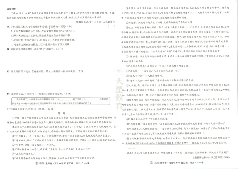 《试卷_2026秋初中教辅合集_2027天星系列_2027《天星金考卷•中考45套》语文（河北）》第9页预览