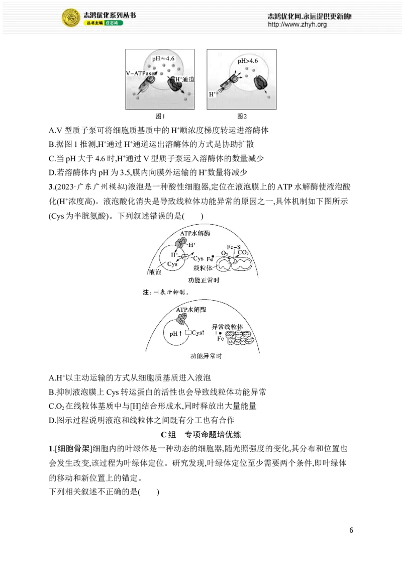 《专题1　细胞的分子组成、结构与物质运输_初高中资料库_高中资料库（转存避免链接过期失效）_高中生物》第6页预览