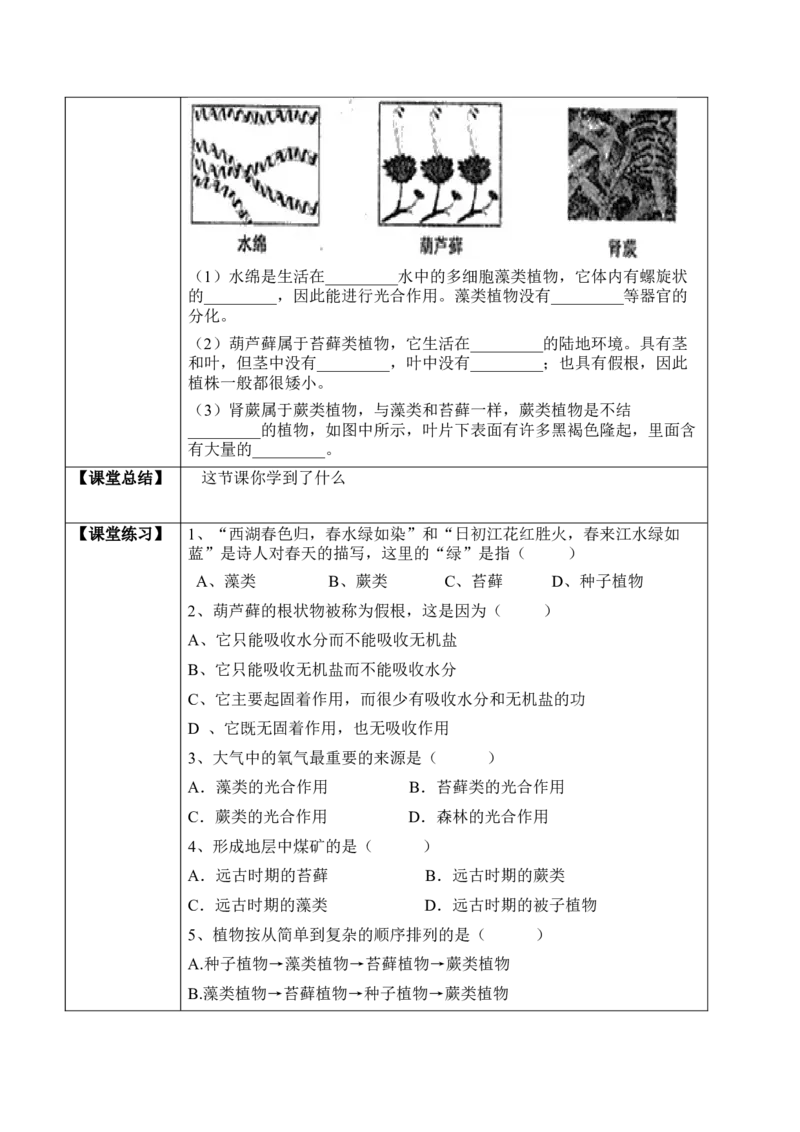 《3.1.1藻类、苔藓和蕨类植物（学案）-2022-2023学年七年级生物上册同步优质备课资源（人教版）_初中全科知识点总结和试卷_赠送习题试卷_初中3年学习辅助资料_1、初中学习资料_4-6、生物》第2页预览