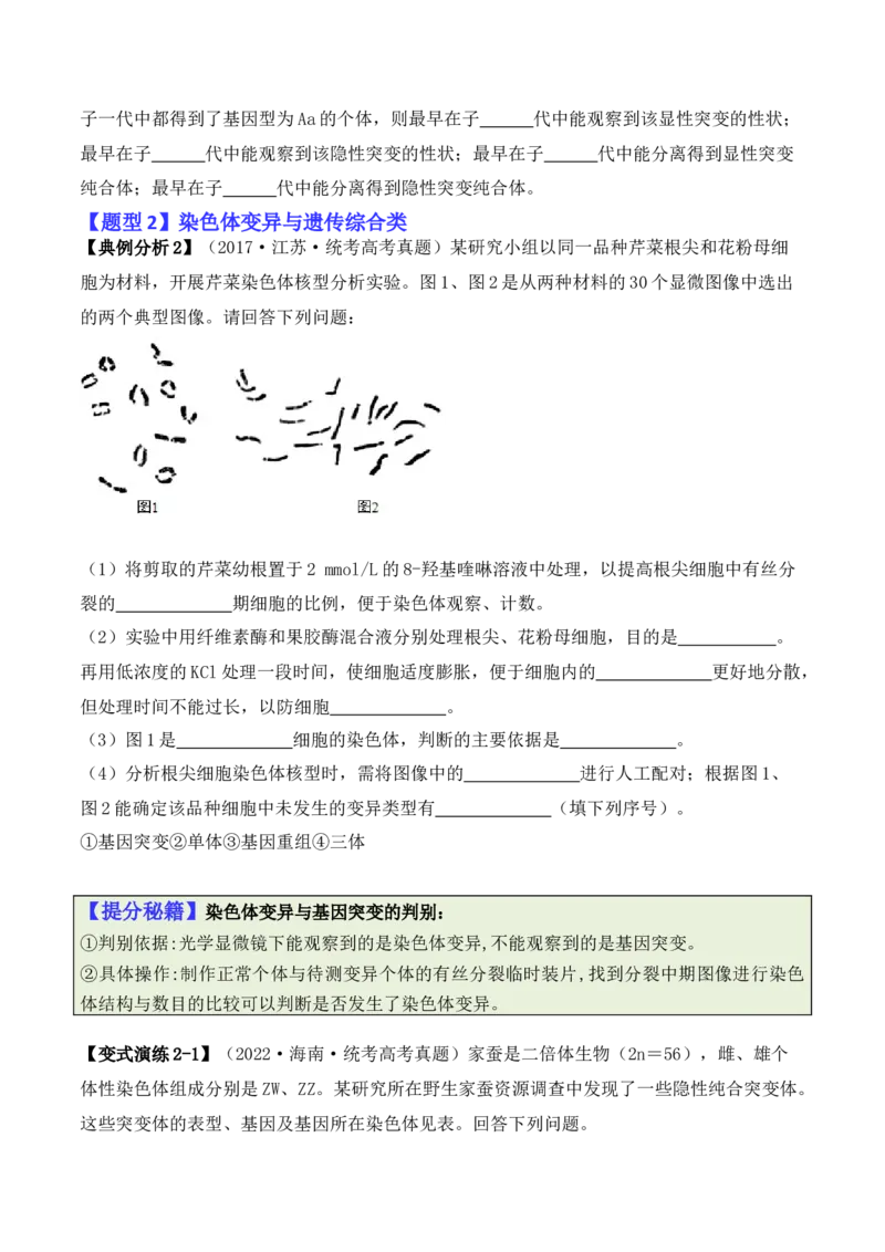 《专题07遗传变异（原卷版）_初高中资料库_高中资料库（转存避免链接过期失效）_高中生物》第4页预览