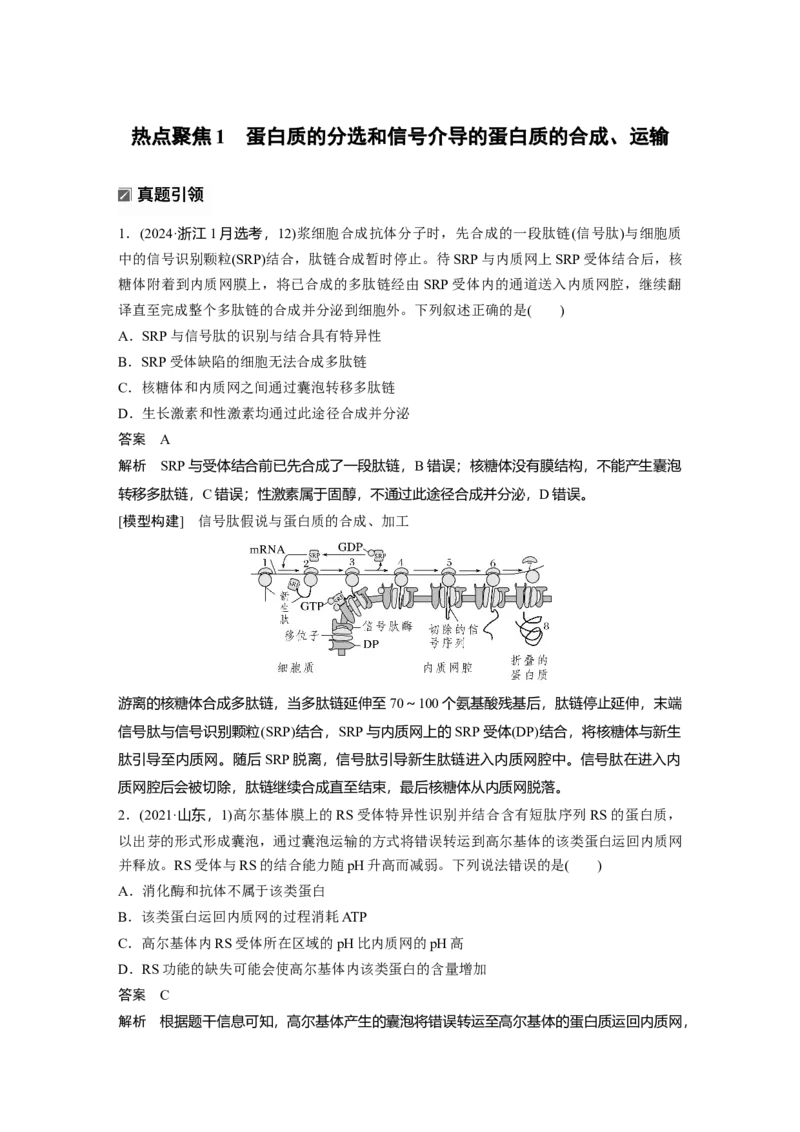 《第一部分　专题一　热点聚焦1　蛋白质的分选和信号介导的蛋白质的合成、运输(1)_2026版高中《二三轮复习+冲刺复习》_教师用书Word版文档_第一部分　专题复习》第1页预览