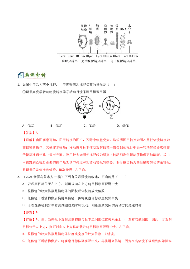 《专题一细胞的结构基础及物质运输相关实验（6大常考实验）（解析版）_高考一二三轮复习_生物_2026年-生物高考专项复习_42026年高考生物常考实验热点题型突破》第3页预览